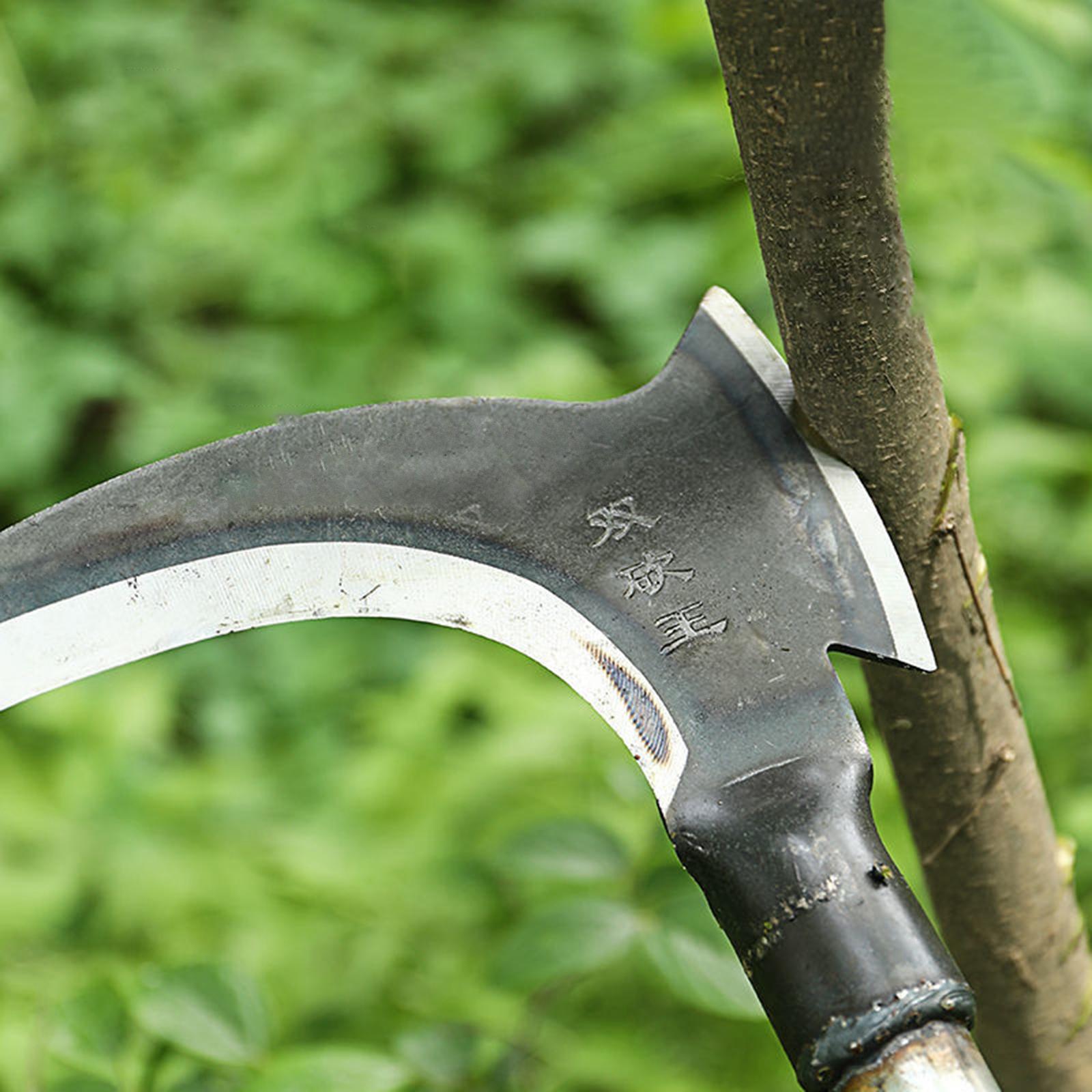 Woodworking Rasp - Hache de jardinage en acier avec