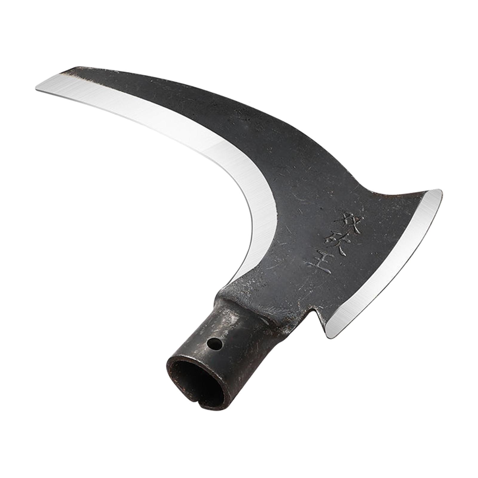Hache de jardinage en acier av - Woodworking Rasp avis et prix