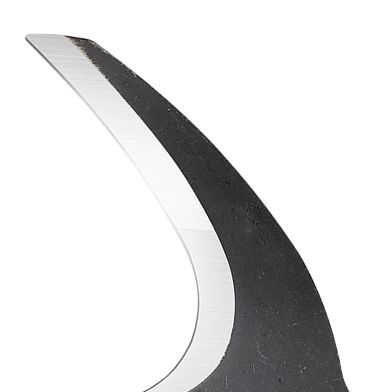 Hache de jardinage en acier av - Woodworking Rasp avis et prix
