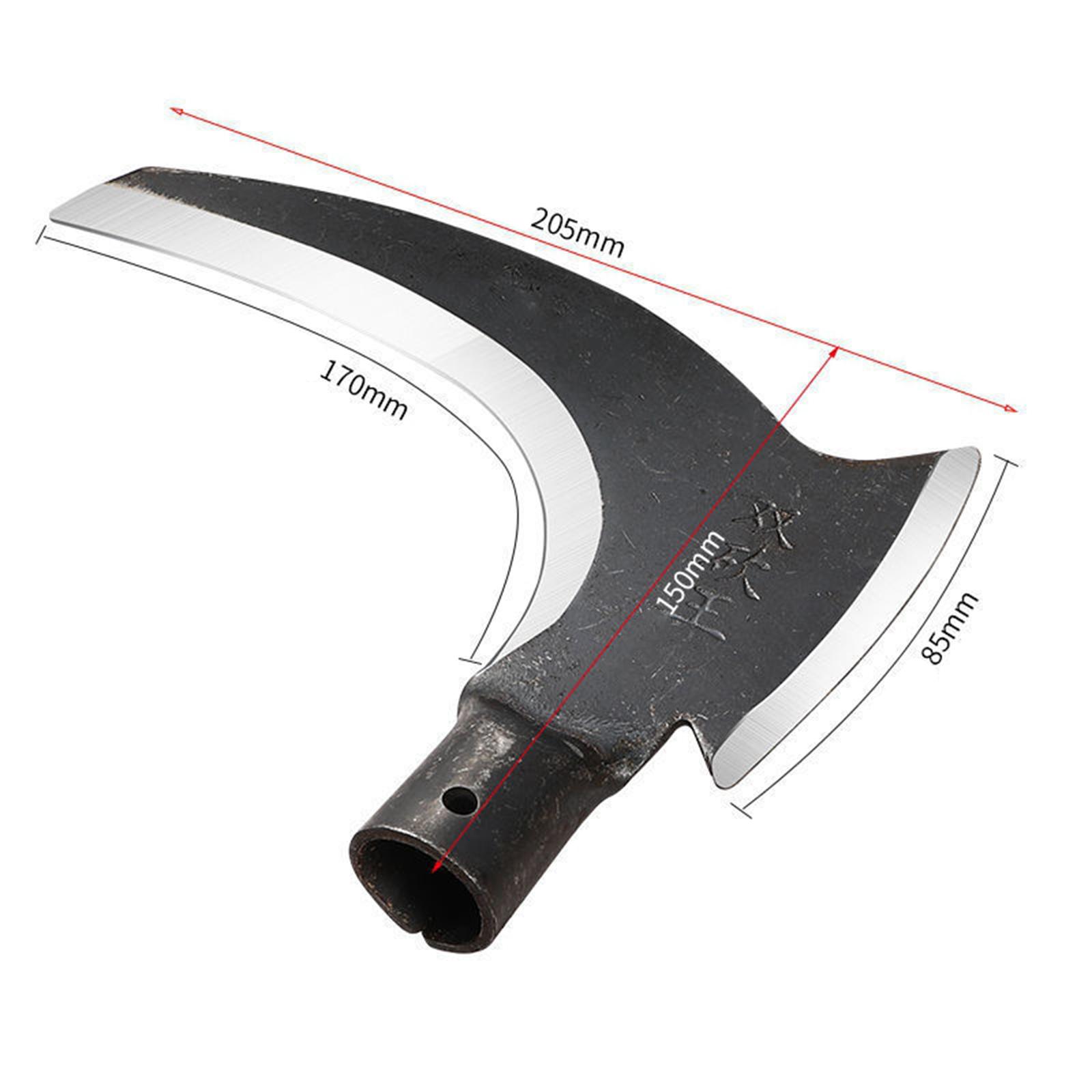 Hache de jardinage en acier av - Woodworking Rasp avis et prix